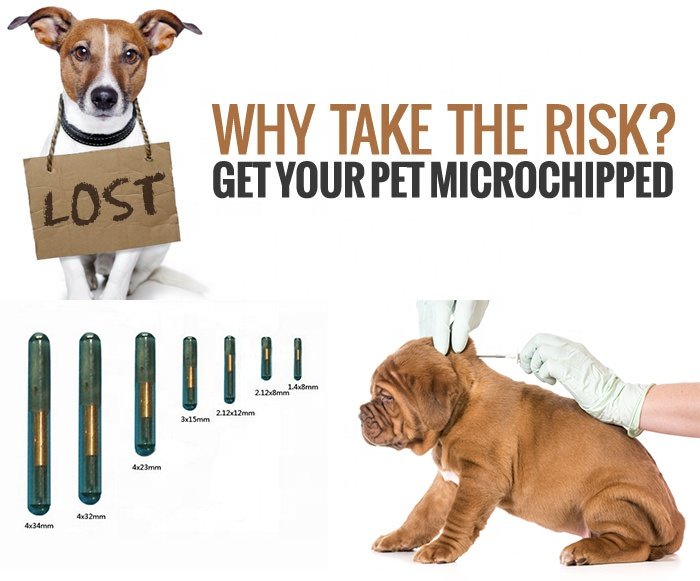 RBC-Z05 Microchips Syringe